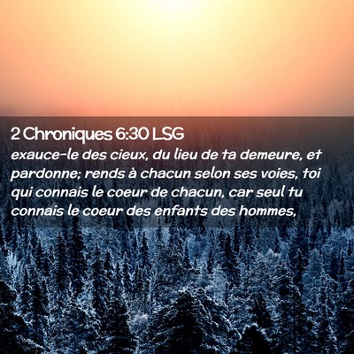 Picture 02 - 2 Chroniques 6:30 LSG - exauce-le des cieux, du lieu de ta demeure, et - Bible Verse Picture