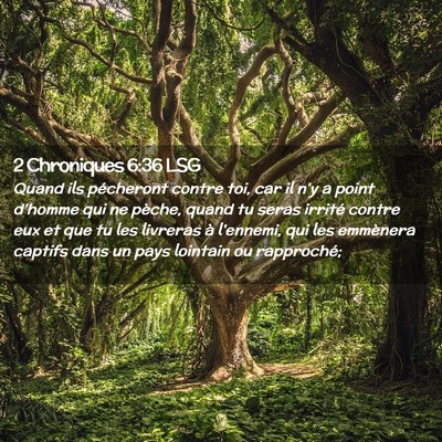 Picture 02 - 2 Chroniques 6:36 LSG - Quand ils pécheront contre toi, car il n'y a - Bible Verse Picture