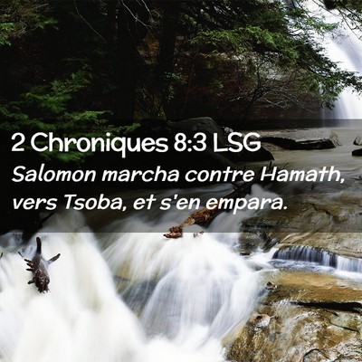 Picture 02 - 2 Chroniques 8:3 LSG - Salomon marcha contre Hamath, vers Tsoba, et s'en - Bible Verse Picture