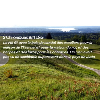 Picture 02 - 2 Chroniques 9:11 LSG - Le roi fit avec le bois de sandal des escaliers - Bible Verse Picture