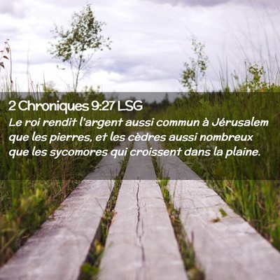 Picture 02 - 2 Chroniques 9:27 LSG - Le roi rendit l'argent aussi commun à Jérusalem - Bible Verse Picture
