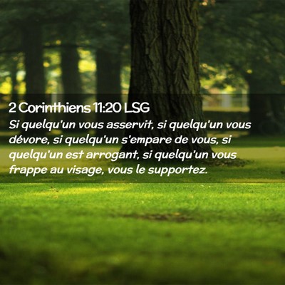 Picture 02 - 2 Corinthiens 11:20 LSG - Si quelqu'un vous asservit, si quelqu'un vous - Bible Verse Picture
