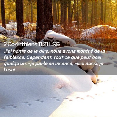 Picture 02 - 2 Corinthiens 11:21 LSG - J'ai honte de le dire, nous avons montré de la - Bible Verse Picture