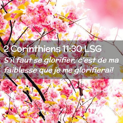 Picture 02 - 2 Corinthiens 11:30 LSG - S'il faut se glorifier, c'est de ma faiblesse que - Bible Verse Picture