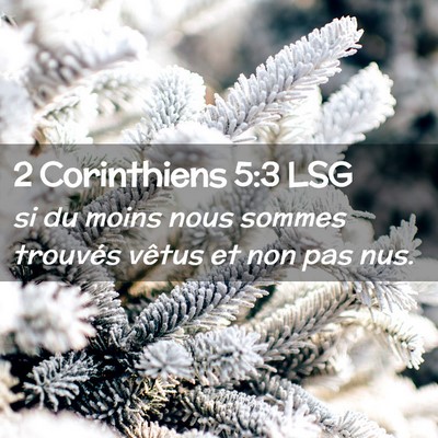 Picture 02 - 2 Corinthiens 5:3 LSG - si du moins nous sommes trouvés vêtus et non - Bible Verse Picture