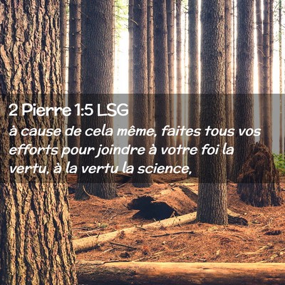 Picture 02 - 2 Pierre 1:5 LSG - à cause de cela même, faites tous vos efforts - Bible Verse Picture