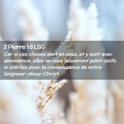 Picture 02 - 2 Pierre 1:8 LSG - Car si ces choses sont en vous, et y sont avec - Bible Verse Picture