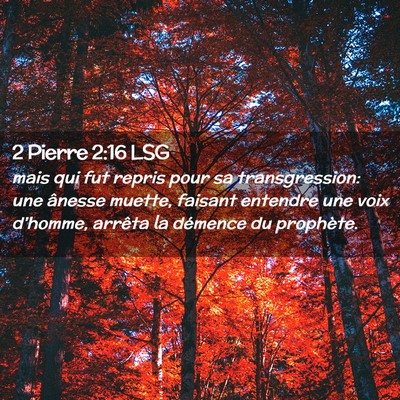 Picture 02 - 2 Pierre 2:16 LSG - mais qui fut repris pour sa transgression: une - Bible Verse Picture