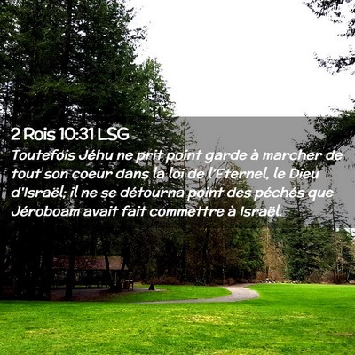 Picture 02 - 2 Rois 10:31 LSG - Toutefois Jéhu ne prit point garde à marcher de - Bible Verse Picture