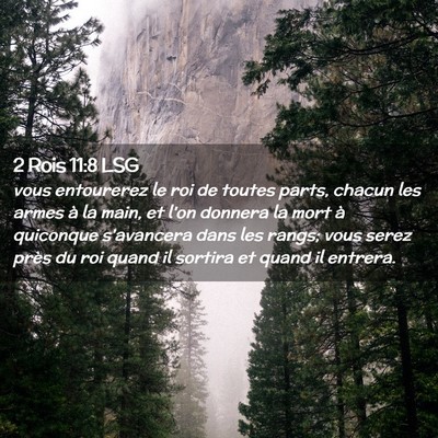 Picture 02 - 2 Rois 11:8 LSG - vous entourerez le roi de toutes parts, chacun - Bible Verse Picture