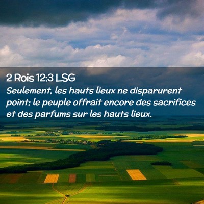Picture 02 - 2 Rois 12:3 LSG - Seulement, les hauts lieux ne disparurent point; - Bible Verse Picture