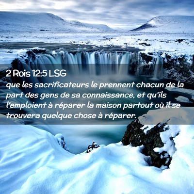 Picture 02 - 2 Rois 12:5 LSG - que les sacrificateurs le prennent chacun de la - Bible Verse Picture
