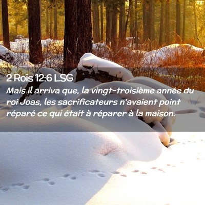 Picture 02 - 2 Rois 12:6 LSG - Mais il arriva que, la vingt-troisième année du - Bible Verse Picture