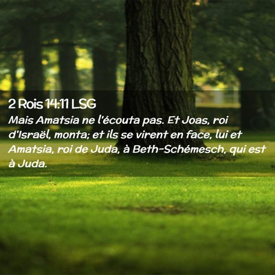 Picture 02 - 2 Rois 14:11 LSG - Mais Amatsia ne l'écouta pas. Et Joas, roi - Bible Verse Picture