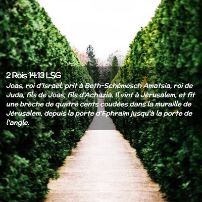 Picture 02 - 2 Rois 14:13 LSG - Joas, roi d'Israël, prit à Beth-Schémesch - Bible Verse Picture