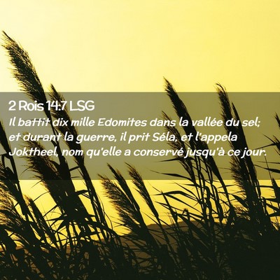 Picture 02 - 2 Rois 14:7 LSG - Il battit dix mille Edomites dans la vallée du - Bible Verse Picture