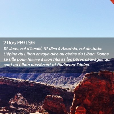 Picture 02 - 2 Rois 14:9 LSG - Et Joas, roi d'Israël, fit dire à Amatsia, roi - Bible Verse Picture