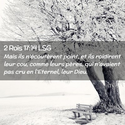 Picture 02 - 2 Rois 17:14 LSG - Mais ils n'écoutèrent point, et ils roidirent - Bible Verse Picture