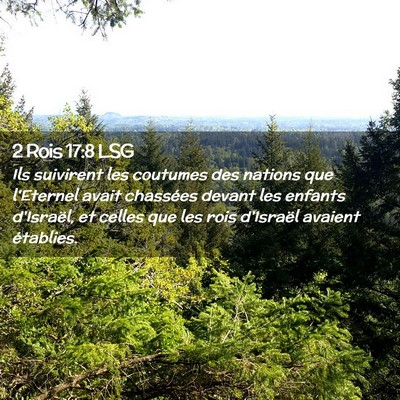 Picture 02 - 2 Rois 17:8 LSG - Ils suivirent les coutumes des nations que - Bible Verse Picture