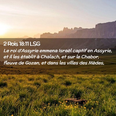 Picture 02 - 2 Rois 18:11 LSG - Le roi d'Assyrie emmena Israël captif en - Bible Verse Picture