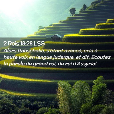 Picture 02 - 2 Rois 18:28 LSG - Alors Rabschaké, s'étant avancé, cria à haute - Bible Verse Picture