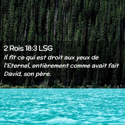 Picture 02 - 2 Rois 18:3 LSG - Il fit ce qui est droit aux yeux de l'Eternel, - Bible Verse Picture