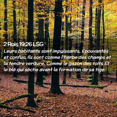 Picture 02 - 2 Rois 19:26 LSG - Leurs habitants sont impuissants, Epouvantés et - Bible Verse Picture