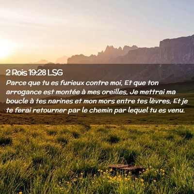 Picture 02 - 2 Rois 19:28 LSG - Parce que tu es furieux contre moi, Et que ton - Bible Verse Picture