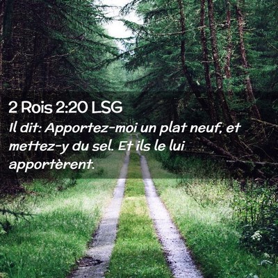 Picture 02 - 2 Rois 2:20 LSG - Il dit: Apportez-moi un plat neuf, et mettez-y du - Bible Verse Picture