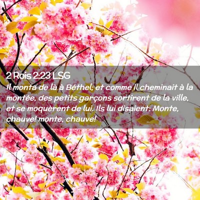 Picture 02 - 2 Rois 2:23 LSG - Il monta de là à Béthel; et comme il cheminait - Bible Verse Picture