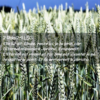 Picture 02 - 2 Rois 2:4 LSG - Elie lui dit: Elisée, reste ici, je te prie, car - Bible Verse Picture