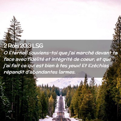 Picture 02 - 2 Rois 20:3 LSG - O Eternel! souviens-toi que j'ai marché devant - Bible Verse Picture