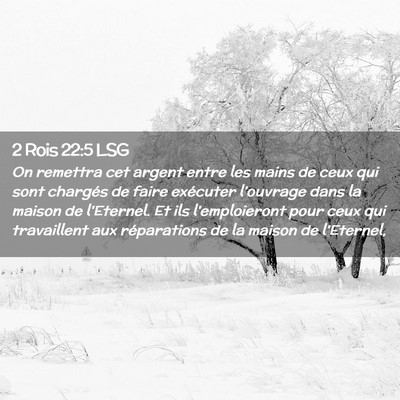 Picture 02 - 2 Rois 22:5 LSG - On remettra cet argent entre les mains de ceux - Bible Verse Picture