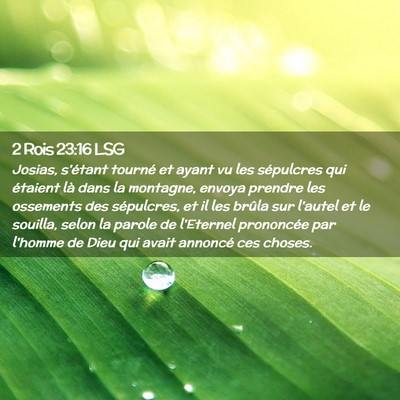 Picture 02 - 2 Rois 23:16 LSG - Josias, s'étant tourné et ayant vu les - Bible Verse Picture