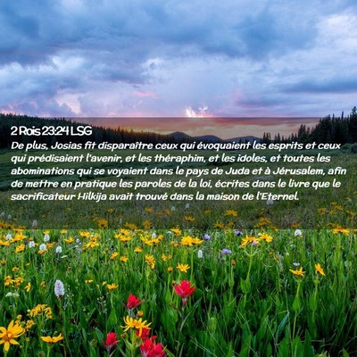Picture 02 - 2 Rois 23:24 LSG - De plus, Josias fit disparaître ceux qui - Bible Verse Picture
