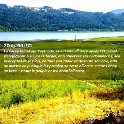 Picture 02 - 2 Rois 23:3 LSG - Le roi se tenait sur l'estrade, et il traita - Bible Verse Picture
