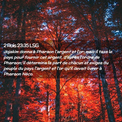 Picture 02 - 2 Rois 23:35 LSG - Jojakim donna à Pharaon l'argent et l'or; mais - Bible Verse Picture
