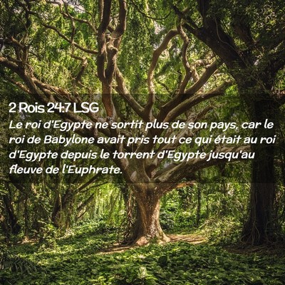 Picture 02 - 2 Rois 24:7 LSG - Le roi d'Egypte ne sortit plus de son pays, car - Bible Verse Picture