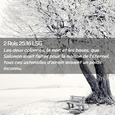 Picture 02 - 2 Rois 25:16 LSG - Les deux colonnes, la mer, et les bases, que - Bible Verse Picture