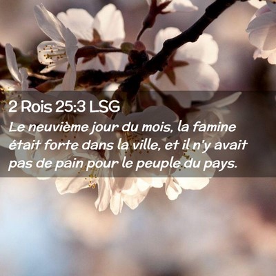 Picture 02 - 2 Rois 25:3 LSG - Le neuvième jour du mois, la famine était forte - Bible Verse Picture
