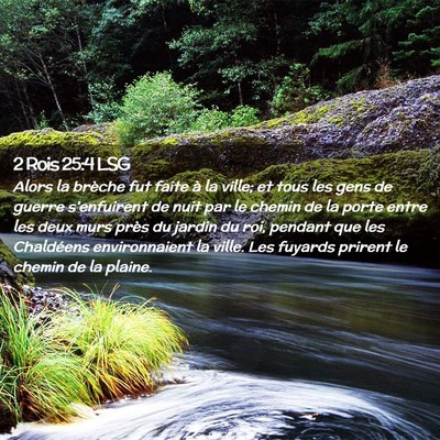 Picture 02 - 2 Rois 25:4 LSG - Alors la brèche fut faite à la ville; et tous - Bible Verse Picture