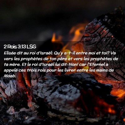 Picture 02 - 2 Rois 3:13 LSG - Elisée dit au roi d'Israël: Qu'y a-t-il entre - Bible Verse Picture