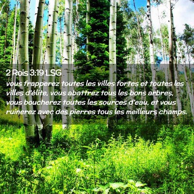 Picture 02 - 2 Rois 3:19 LSG - vous frapperez toutes les villes fortes et toutes - Bible Verse Picture