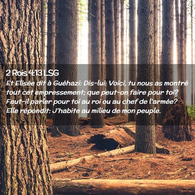 Picture 02 - 2 Rois 4:13 LSG - Et Elisée dit à Guéhazi: Dis-lui: Voici, tu - Bible Verse Picture