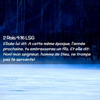 Picture 02 - 2 Rois 4:16 LSG - Elisée lui dit: A cette même époque, l'année - Bible Verse Picture