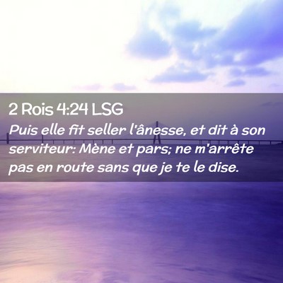 Picture 02 - 2 Rois 4:24 LSG - Puis elle fit seller l'ânesse, et dit à son - Bible Verse Picture