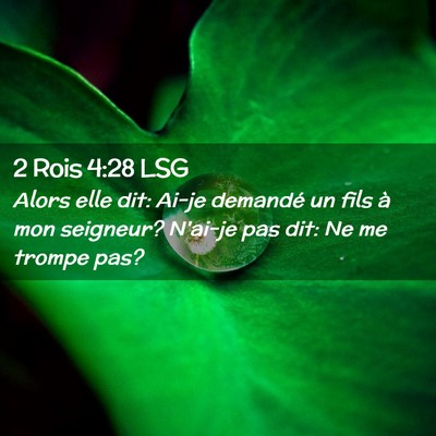 Picture 02 - 2 Rois 4:28 LSG - Alors elle dit: Ai-je demandé un fils à mon - Bible Verse Picture