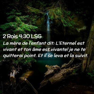 Picture 02 - 2 Rois 4:30 LSG - La mère de l'enfant dit: L'Eternel est vivant et - Bible Verse Picture