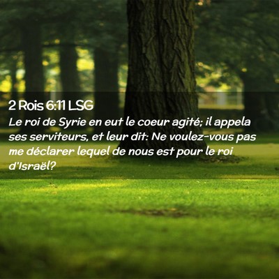 Picture 02 - 2 Rois 6:11 LSG - Le roi de Syrie en eut le coeur agité; il appela - Bible Verse Picture