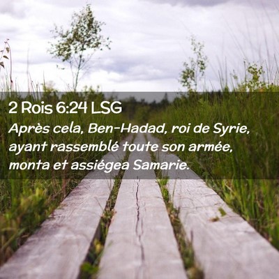Picture 02 - 2 Rois 6:24 LSG - Après cela, Ben-Hadad, roi de Syrie, ayant - Bible Verse Picture